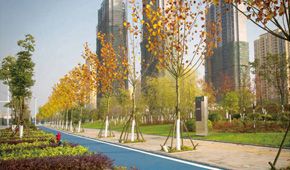武汉市光谷未来科技及及周边片绿道工程（道路全长34000米）